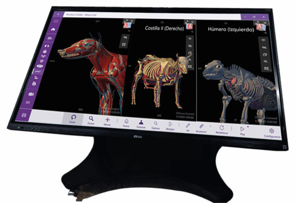 Mesa de Anatomía Veterinaria Interactiva